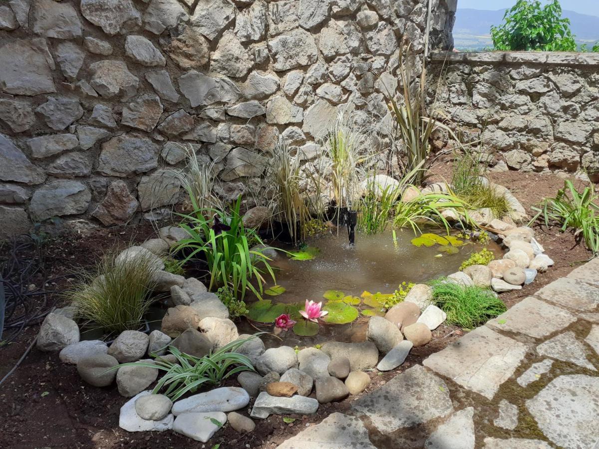 Agoriani Art Suite - 4 Seasons' Natural Living Lílaia Exteriör bild